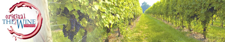 The Original Wine Company UK